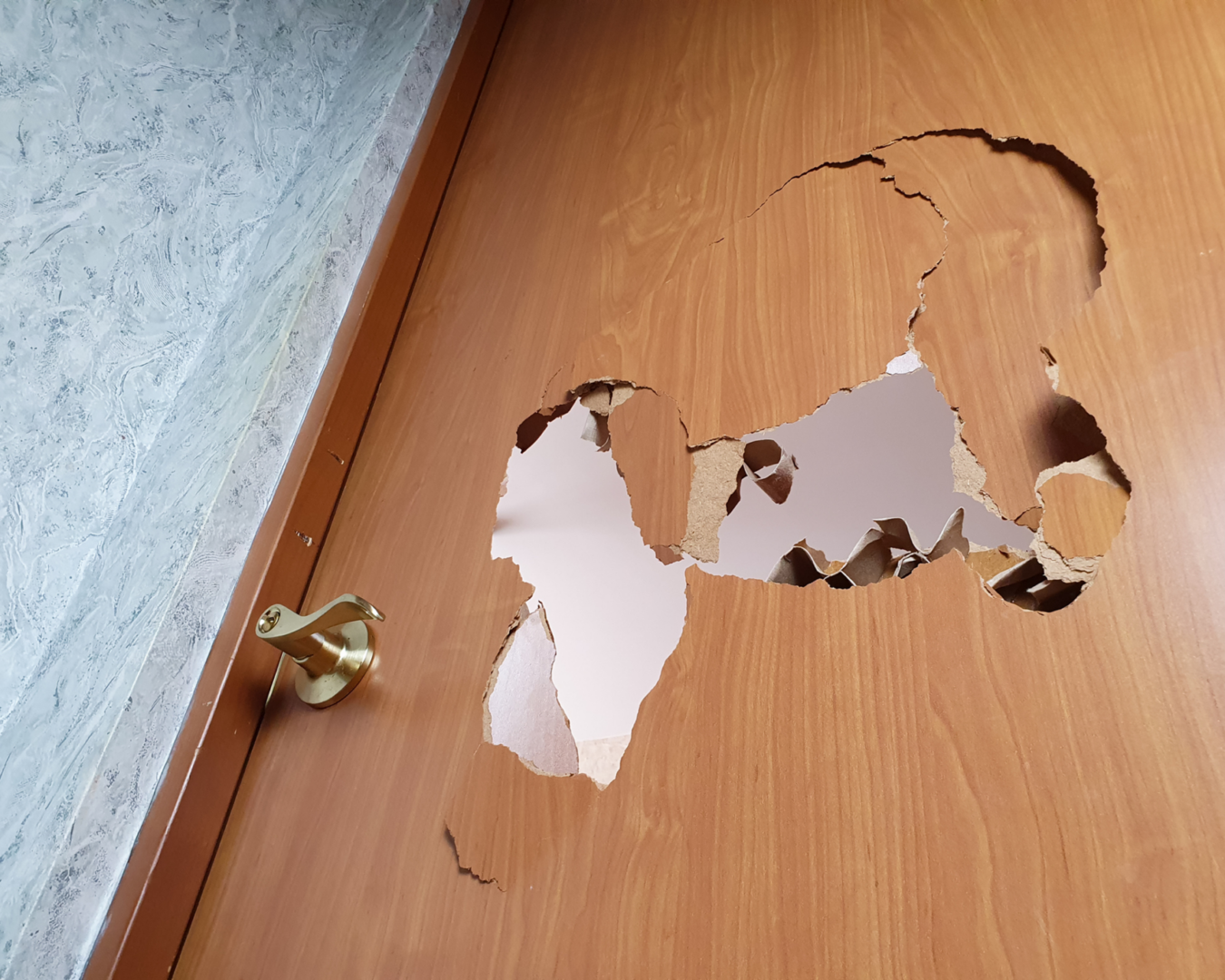 Damaged door with visible cracks